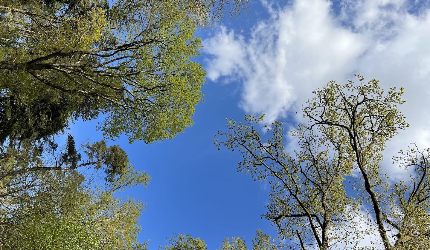 sunny skies