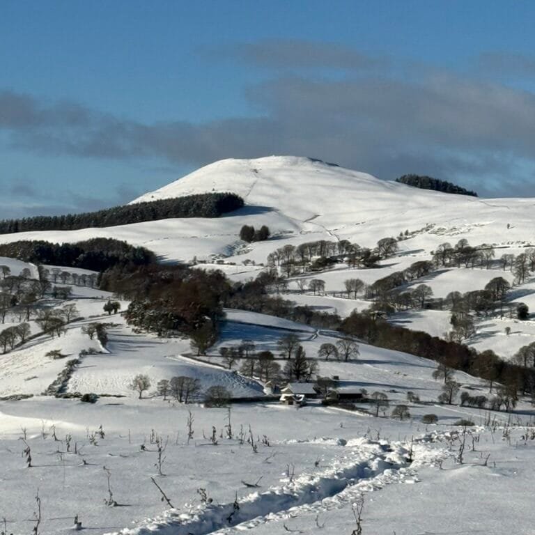 A new invitation: 6-Week Journey From Darkness to Seed