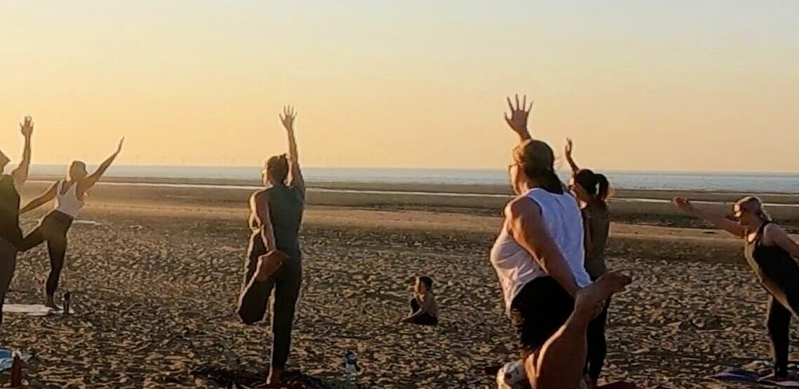 Year of the Snake – The Final Shed