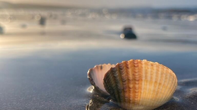 Spring Yoga week 4: Yoga for Focus – Pratyahara & Dharana